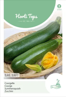 Productafbeelding van Zucchini Black Beauty | Zucchinizaden van Hortitops