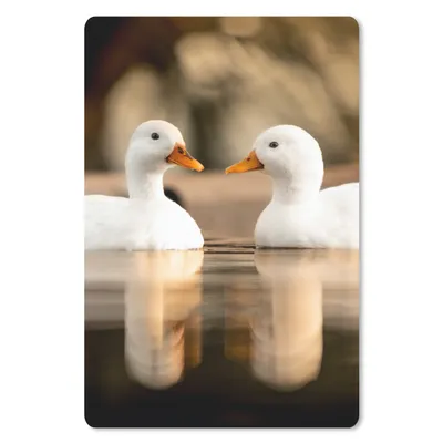 Produktbild von MuchoWow® Mauspad Mousepad Ente - Weiß - Tiere - Wasser - Vogel - Enten 18x27 cm - Mousepads - Maus Mat - Pad - Mausunterlage