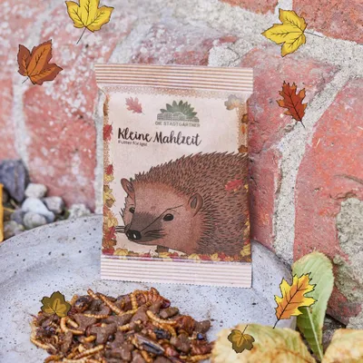 Image de Petit repas - Nourriture pour hérissons 25 g - Nourriture pour hérissons sans