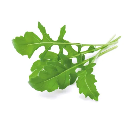 Produktbild von Emsa CLICK & GROW substrátová kapsula, rastlinná kapsula, semenná kapsula, kuchynská, rastlina, rukola , sada 3 ks, M5261600