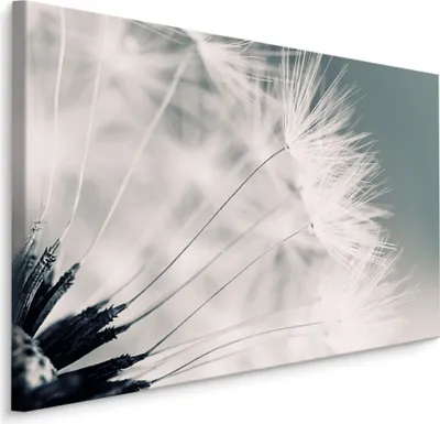 Produktbild von Fabelhafte Canvas LEINWAND BILDER 30x20 cm XXL Kunstdruck Natur Blumen Pusteblume