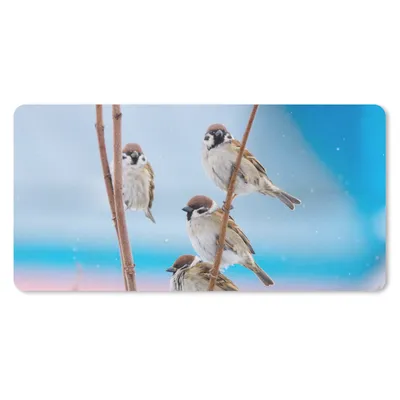 Produktbild von MuchoWow® Mauspad Mousepad Vögel - Spatz - Tiere - Äste 60x30 cm - Mousepads - Maus Mat - Pad - Mausunterlage - Nachhaltig