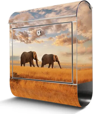Zdjęcie produktu dla Skrzynka na listy ze stali nierdzewnej z przegrodą na gazety Elephants duża skrzynka na listy ze stali nierdzewnej, otwór A4 [BKGE2 10488]