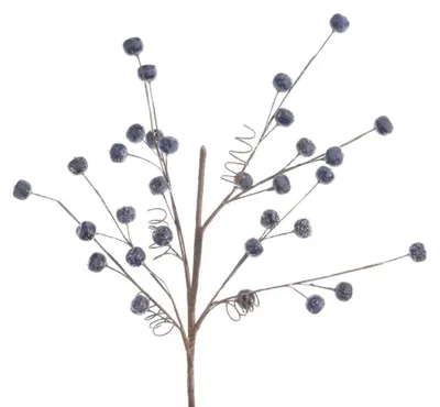 Produktbild von Zweig Dekozweig Beerenstrauß blau Schlehe frostig