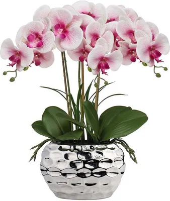 Obrázek produktu pro Unyqoos® Realistická umělá orchidej v keramickém květináči – nenáročná dekorace do interiéru, výška 44 cm