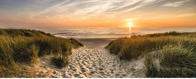 Produktbild von Glasbild Weg Zum Strand I 125x50 cm