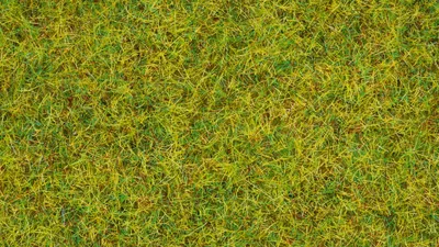 Obrázok produktu pre NOCH Scatter Grass “Summer Meadow”, Zelená