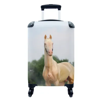 Obrázok produktu pre Kufrík Ručná batožina na kolieskach Malý cestovný kufor so 4 kolieskami Kôň - Portrét - Príroda - Veľkosť kabíny < 55x40x23 cm & 55x40x20 cm - Foto
