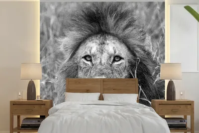 Produktbild von MuchoWow® Fototapete für Wohnzimmer oder Schlafzimmer Wandtapete Vinyl Motivtapete Löwe - Porträt - Tiere - 300x300 cm - Wanddekoration