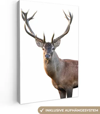 Zdjęcie produktu dla OneMillionCanvasses® - Obraz na płótnie - 90x140 cm, białe poroże jelenia, grafika ścienna - dekoracja ścienna - sypialnia