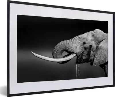 Produktbild von MuchoWow® Gerahmtes Poster Elefant - Wasser - Tiere - Schwarz - Weiß 60x40 cm - Poster mit Schwarzem Bilderrahmen Wandposter Rahmen Foto Bilder - Schlafzimmer - Plakat in Rahmen - Drucken