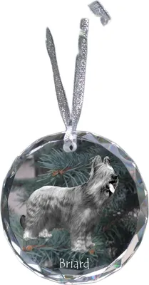 Obrázok produktu pre Art-Dog Vianočná ozdoba – Briard
