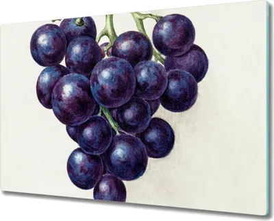 Produktbild von Coloray Hackbrett Kochplattenabdeckung Herdabdeckplatte 80x52 cm Schneidebrett Küchenbrett - Trauben Früchte