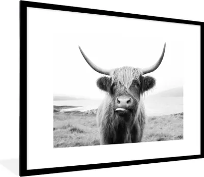 Produktbild von MuchoWow® Gerahmtes Poster Tiere - Schottischer Highlander - Kuh - Schwarz - Weiß 80x60 cm - Poster mit Schwarzem Bilderrahmen Wandposter Rahmen Foto Bilder - Schlafzimmer-Dekorationen - Fotoposter