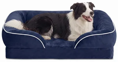 Produktbild von WAVVE Hundebetten für Mittelgroße Hunde 71x58cm Orthopädisch Waschbar mit Memory Foam & Eierschaum, Waschbar Wasserdicht rutschfest Hundesofa mit Rand