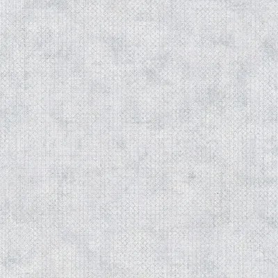 Obrázek produktu pro A.S. Creation | The BOS | 388261 | netkané tapety | hladké | 0,53 x 10,05 m | šedé | obývací pokoj | chodba | kancelář | kuchyně | obývací pokoje