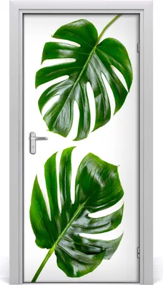 Produktbild von Tulup Türaufkleber 95x205 cm Dekorative Aufkleber Selbstklebend Wasserdichte Tapete Abnehmbar Schlafzimmer Wohnzimmer Wohnkultur - Monster