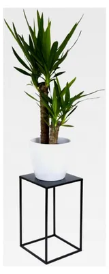 Produktbild von Blumenständer Metall Schwarz 40 cm Hoch - Stabiler Blumenhocker aus Metall - Pflanzenständer für die Innendekoration wie Wohnzimmer oder Schlafzimmer