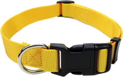 Produktbild von Robustes Hundehalsband aus Nylon – stufenlos verstellbar, leicht & bequem – Klickverschluss – für Welpen, kleine & große Hunde – S, M & L Größe S Gelb