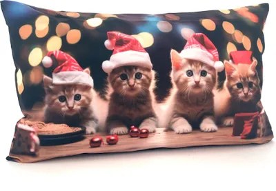 Produktbild von Heimtexland ® Weihnachtskissen Soft Velour Dekokissen Weihnachten Geschenk Deko Kissenhülle Typ652 Katzenbabys