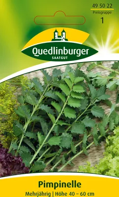 Produktbild von Pimpinelle
