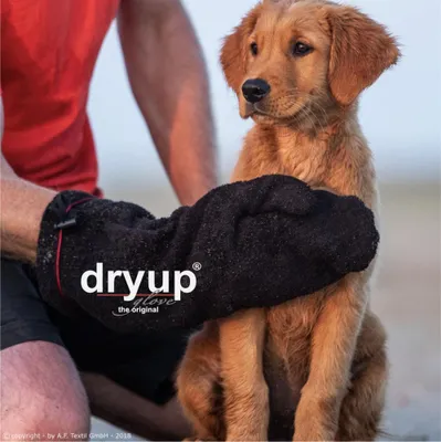 Produktbild von Dryup Glove black