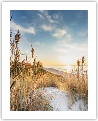 Produktbild von Poster - Poster ohne Rahmen - Ähren Küste Sonne - 40x50 cm - Wand Bild - Wanddeko - Wandbilder - Kunstposter - Wandposter - Bilder - Kunstdruck - Wanddekoration - Wandbild - P2XPA40x50-4653