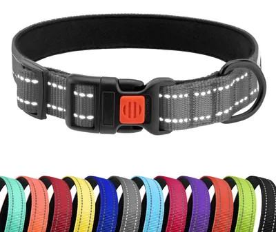 Produktbild von Reflektierendes Hundehalsband aus Nylon für kleine, mittelgroße und große Hunde