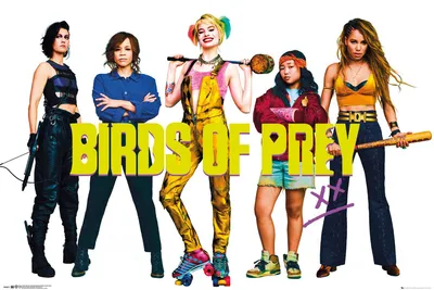 Productafbeelding van Roofvogels - Groep - Poster - Afmetingen: 91,5 x 61 cm