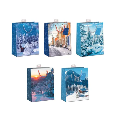 Produktbild von Weihnachten 10 Geschenktaschen sortiert Medium A5-Format€ 19,50 pro Tüte € 1,95 5 Motive a 2 Stück Wintermotive