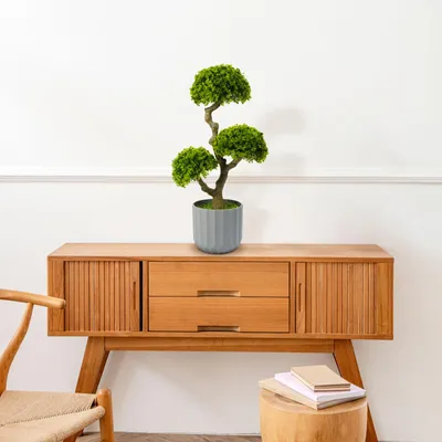 Obrázok produktu pre Umelá rastlina - Dekorácia do domácnosti - Bonsai - 55 x 27 cm 1 kus [11909], Obrázok generovaný UI