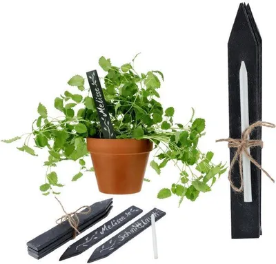 Produktbild von 12 x Pflanzenschilder aus Schiefer L 14 cm - Kräuterstecker zum Beschriften - Pflanzschilder Pflanzetiketten Gartenstecker zum Beschriften