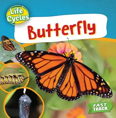 Produktbild von Butterfly