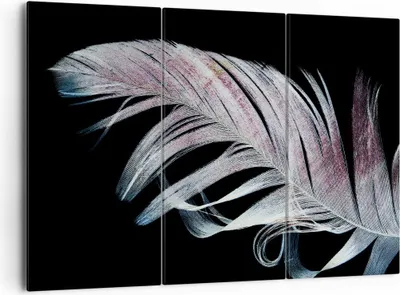 Produktbild von Bild auf Leinwand - Leinwandbild - 3 Teile - Feder die Farben Zartheit - 165x110cm - Wand Bild - Wanddeko - Wandbilder - Leinwanddruck - Bilder - Wanddekoration - Leinwand bilder - CE165x110-4959