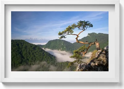 Produktbild von Sokolica-Gipfel im Pieniny-Gebirge– Wandbild mit Rahmen – Gerahmtes Bild  – Wanddekoration – 60x40 cm –  Schwarz Rahmen