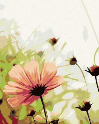 Produktbild von Zuty - Malen nach Zahlen - BLÜHENDE BLUME AUF DER WIESE, 40x50 cm, ohne Keilrahmen