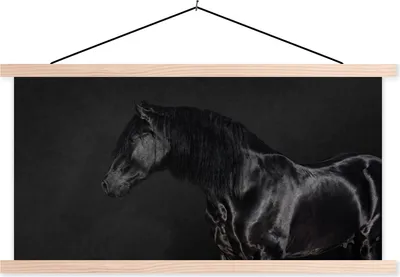 Produktbild von MuchoWow® Textilposter Pferd - Schwarz - Porträt 60x30 cm mit holzfarbenen Rahmen - Dekoration