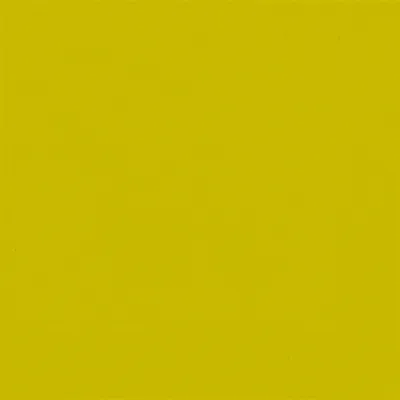 Produktbild von Duni Servietten Kiwi 33x33cm 3lagig 20 Stück