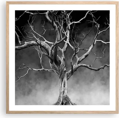 Produktbild von Gerahmtes Poster - Rahmen in heller Eiche - Schwarzweiß Äste Rauch - 60x60 cm - Wand Bild - Wanddeko - Wandbilder - Wandposter - Bilderrahmen - Bilder - Kunstdruck - Wandbild - P2NAC60x60-4346