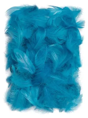 Produktbild von Piórka turkusowe 5-12 cm 10 g