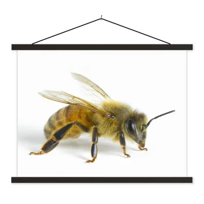 Produktbild von MuchoWow® Textilposter Bienen - Insekten - Flügel 40x30 cm mit schwarzem Rahmen - Dekorationen
