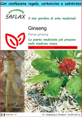 Immagine prodotto di SAFLAX Set regalo - Ginseng - 10 semi - Panax