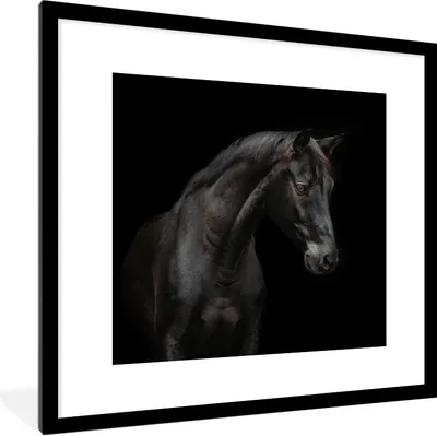 Produktbild von MuchoWow® Gerahmtes Poster Pferd - Tier - Schwarz 40x40 cm - Poster mit Schwarzem Bilderrahmen Wandposter Rahmen Foto Bilder - Poster - Plakat im Rahmen