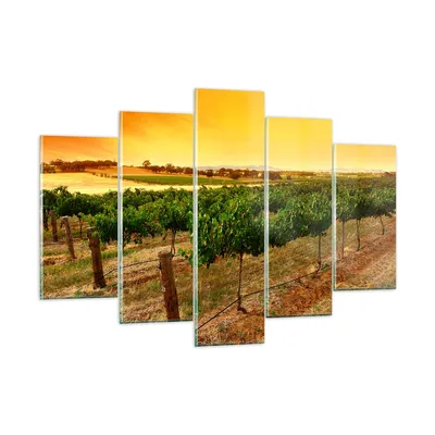 Produktbild von Bilder auf glas - Landschaft Weinberg Sonnenuntergang - 150x100cm - Glasbilder - Wandbilder - Kunstdruck - Wanddekoration aus Glas - Glas Bilder - Wandbild auf Glas - GEA150x100-0116
