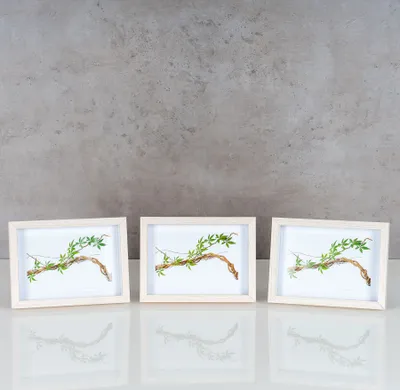 Produktbild von 3er Set Bilderrahmen 10x15cm Eiche Natur Echtholz Fotorahmen Einzelrahmen