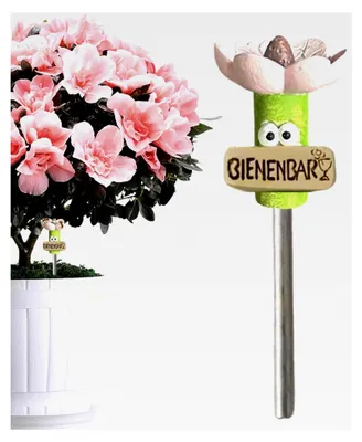 Produktbild von Bienentrinker – dekorative blumenförmige Schale für den Garten