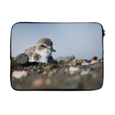 Produktbild von MuchoWow® Laptop Hülle 13 Zoll Sandregenpfeifer zwischen Strandsteinen Laptoptasche - Laptophülle - Sleeve - Rundumschutz