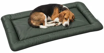 Produktbild von PawHut Hundebett Wasserdichtes Hundebett mit rutschfester Unterseite Grün