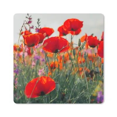Produktbild von MuchoWow® Mauspad Mousepad Mohn - Blumen - Rot - Lila - Wiese 20x20 cm - Mousepads - Maus Mat - Pad - Mausunterlage - Desk Mat - Bureauartikeln
