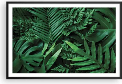 Produktbild von Gerahmtes Poster - Schwarzer Rahmen - Exotisch Blätter Monstera - 91,5x61 cm - Wand Bild - Wanddeko - Wandbilder - Kunstposter - Wandposter - Bilderrahmen - Bilder - Kunstdruck - P2BAA91x61-4746